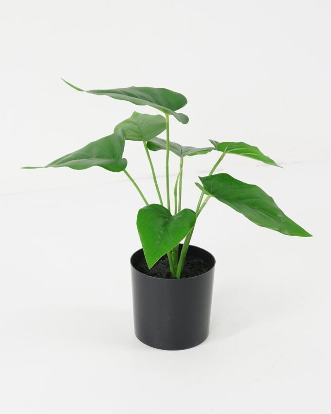 Artificial Plant 27*32*33cm Leaves in pot GS-14521094 Potted Flowers&Plants YeahFlower is one of Chinese leading OEM manufacturers and exporters , supplying the silk flowers, wholesale artificial trees