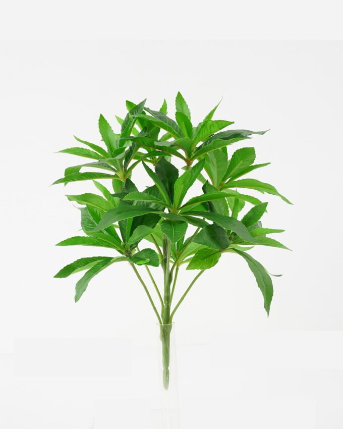 Artificial Plant 27*27*28cm Pieris japonica Bush*9 GS-51121004 Leaves&Sprays&Foliages YeahFlower is one of Chinese leading OEM manufacturers and exporters , supplying the silk flowers, wholesale artificial trees
