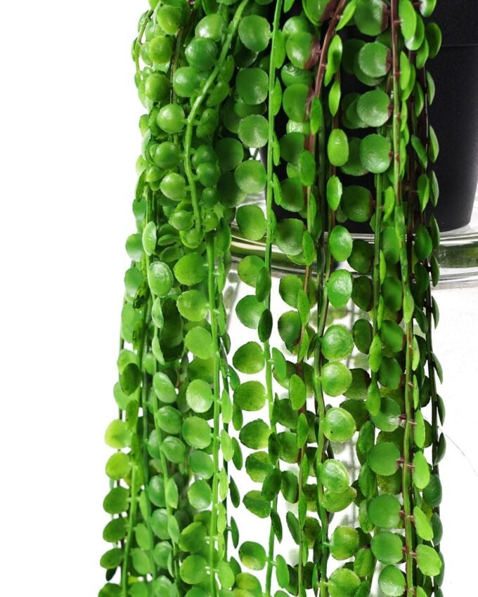 Artificial Plant Plastic leaf hanging in pe pot GS-05521200_1 Artificial Plant 15*40cm Plastic leaf hanging in pe pot GS-05521200 Banners&Garlands YeahFlower is one of Chinese leading OEM manufacturers and exporters , supplying the silk flowers, wholesale artificial trees