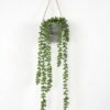 Artificial Plant Succulent plant Garland in Paper pulp pot GS-05521196 Artificial Plant 13*13*40cm Succulent plant Garland in Paper pulp pot GS-05521196 Banners&Garlands YeahFlower is one of Chinese leading OEM manufacturers and exporters , supplying the silk flowers, wholesale artificial trees
