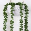 Artificial Plant Succulent plant Garland in melamine pot GS-05521197_1 Artificial Plant 15*15*40cm Succulent plant Garland in melamine pot GS-05521197 Banners&Garlands YeahFlower is one of Chinese leading OEM manufacturers and exporters , supplying the silk flowers, wholesale artificial trees