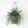 Artificial Plant Succulent plant in Paper pulp pot GS-05521185 Artificial Plant 16*16*17cm Succulent plant in Paper pulp pot GS-05521185 Banners&Garlands YeahFlower is one of Chinese leading OEM manufacturers and exporters , supplying the silk flowers, wholesale artificial trees