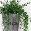 Artificial Plant Succulent plant in Paper pulp pot GS-05521185_2 Artificial Plant 16*16*17cm Succulent plant in Paper pulp pot GS-05521185 Banners&Garlands YeahFlower is one of Chinese leading OEM manufacturers and exporters , supplying the silk flowers, wholesale artificial trees