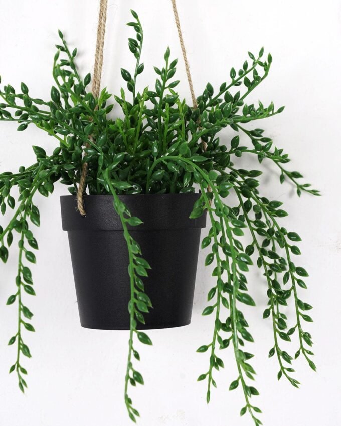 Artificial Plant 17*17*16cm Succulent plant  in pe pot GS-05521184 Banners&Garlands YeahFlower is one of Chinese leading OEM manufacturers and exporters , supplying the silk flowers, wholesale artificial trees