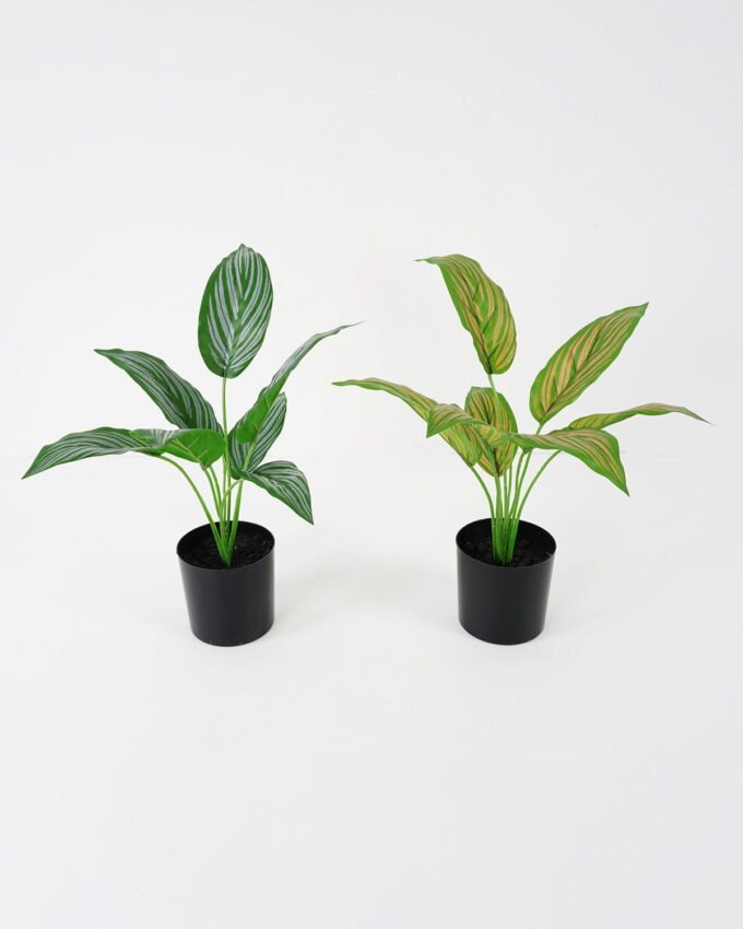 Artificial Plant 33*29*39cm Zebra  * 7 in pot GS-14521105 Potted Flowers&Plants YeahFlower is one of Chinese leading OEM manufacturers and exporters , supplying the silk flowers, wholesale artificial trees