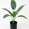 Artificial Plant 33*29*39cm Zebra  * 7 in pot GS-14521105 Potted Flowers&Plants YeahFlower is one of Chinese leading OEM manufacturers and exporters , supplying the silk flowers, wholesale artificial trees