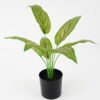 Artificial Plant 33*29*39cm Zebra  * 7 in pot GS-14521105 Potted Flowers&Plants YeahFlower is one of Chinese leading OEM manufacturers and exporters , supplying the silk flowers, wholesale artificial trees