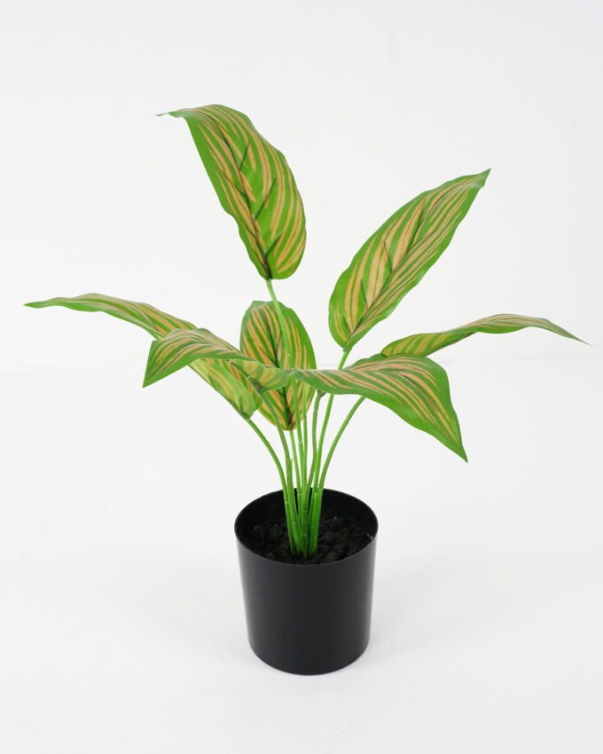 Artificial Plant 33*29*39cm Zebra  * 7 in pot GS-14521105 Potted Flowers&Plants YeahFlower is one of Chinese leading OEM manufacturers and exporters , supplying the silk flowers, wholesale artificial trees