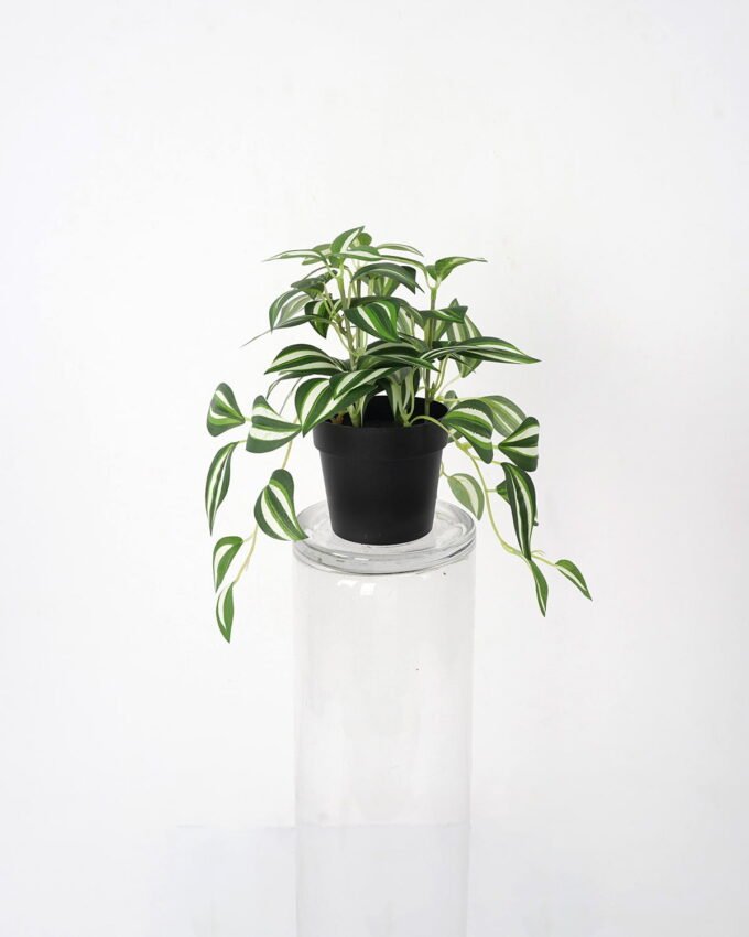 Artificial Plant 18*18*17cm Zebrina  in Pe pot GS-05521192 Banners&Garlands YeahFlower is one of Chinese leading OEM manufacturers and exporters , supplying the silk flowers, wholesale artificial trees