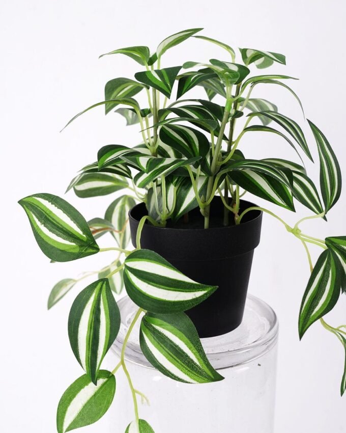 Artificial Plant 18*18*17cm Zebrina  in Pe pot GS-05521192 Banners&Garlands YeahFlower is one of Chinese leading OEM manufacturers and exporters , supplying the silk flowers, wholesale artificial trees