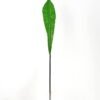 Artificial Plant 10*92cm  leaf Single stem GS-61121016 Leaves&Sprays&Foliages YeahFlower is one of Chinese leading OEM manufacturers and exporters , supplying the silk flowers, wholesale artificial trees
