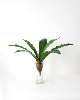 Artificial Plant 71*71*67cm leaves*7 GS-61121017 Leaves&Sprays&Foliages YeahFlower is one of Chinese leading OEM manufacturers and exporters , supplying the silk flowers, wholesale artificial trees