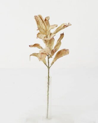 Artificial Plant 17*33cm leaves Single stem GS-66221005-Y1 Leaves&Sprays&Foliages YeahFlower is one of Chinese leading OEM manufacturers and exporters , supplying the silk flowers, wholesale artificial trees