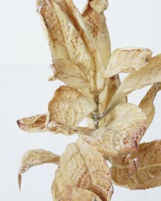 Artificial Plant 17*33cm leaves Single stem GS-66221005-Y1 Leaves&Sprays&Foliages YeahFlower is one of Chinese leading OEM manufacturers and exporters , supplying the silk flowers, wholesale artificial trees