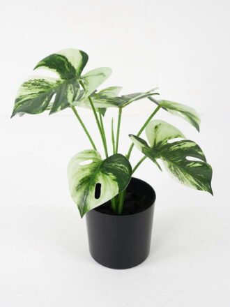 Artificial Plant 33*29*39cm Zebra  * 7 in pot GS-14521105 Potted Flowers&Plants 3,000+ sqm showroom with thousands of artificial flowers, plants & trees ready for global sourcing.
