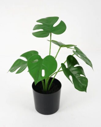 Artificial Plant 28*24*27cm mini Montera * 7 in pot (3D printing) GS-14521103 Potted Flowers&Plants YeahFlower is one of Chinese leading OEM manufacturers and exporters , supplying the silk flowers, wholesale artificial trees