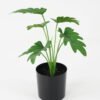 Artificial Plant 35*30*38cm philodendron x 7 in pot GS-14521095 Potted Flowers&Plants YeahFlower is one of Chinese leading OEM manufacturers and exporters , supplying the silk flowers, wholesale artificial trees