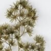 Artificial Plant 22*62cm pine spray GS-46621004 Christmas Item YeahFlower is one of Chinese leading OEM manufacturers and exporters , supplying the silk flowers, wholesale artificial trees