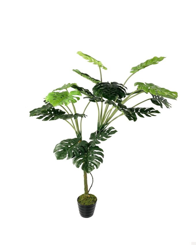 Artificial Tree 100cm Anti-UV Turtle Leaf in pp pot 22LVS GS-66021032-UV Artificial Tree 100cm Anti-UV Turtle Leaf in pp pot/22LVS GS-66021032-UV Tree&Plant YeahFlower is one of Chinese leading OEM manufacturers and exporters , supplying the silk flowers, wholesale artificial trees