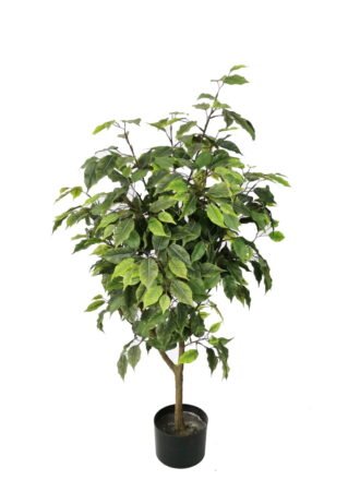 Artificial Tree 160cm Anti-UV Ficus Tree /990lvs GS-66021096-UV Tree&Plant 3,000+ sqm showroom with thousands of artificial flowers, plants & trees ready for global sourcing.