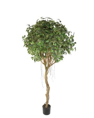 Artificial Tree 110cm Ficus Tree /528lvs GS-66021099-UV Tree&Plant YeahFlower is one of Chinese leading OEM manufacturers and exporters , supplying the silk flowers, wholesale artificial trees