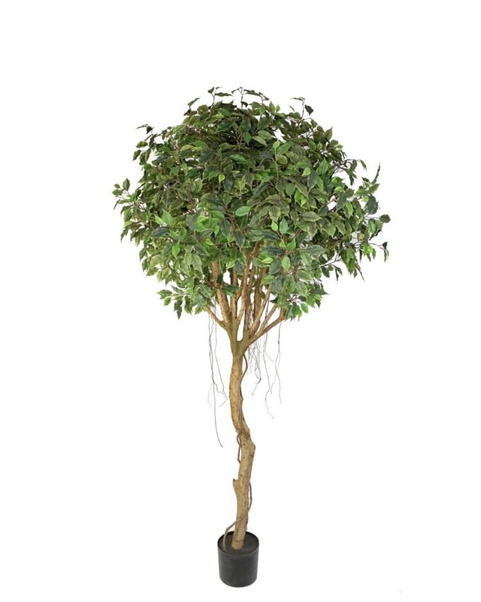 Artificial Tree 110cm Ficus Tree /528lvs GS-66021099-UV Tree&Plant YeahFlower is one of Chinese leading OEM manufacturers and exporters , supplying the silk flowers, wholesale artificial trees