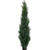Artificial Tree 150cm Anti-UV Cypress trees in pp pot GS-66021003-UV Artificial Tree 150cm Anti-UV Cypress trees in pp pot GS-66021003-UV Toplary YeahFlower is one of Chinese leading OEM manufacturers and exporters , supplying the silk flowers, wholesale artificial trees