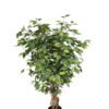 Artificial Tree 150cm Anti-UV Ficus Tree*3 /1056lvs GS-66021090-UV Tree&Plant 3,000+ sqm showroom with thousands of artificial flowers, plants & trees ready for global sourcing.
