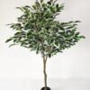 Artificial Tree 150cm Anti-UV Ficus Tree 990lvs GS-66021097-UV Artificial Tree 150cm Anti-UV Ficus Tree /990lvs GS-66021097-UV Tree&Plant YeahFlower is one of Chinese leading OEM manufacturers and exporters , supplying the silk flowers, wholesale artificial trees