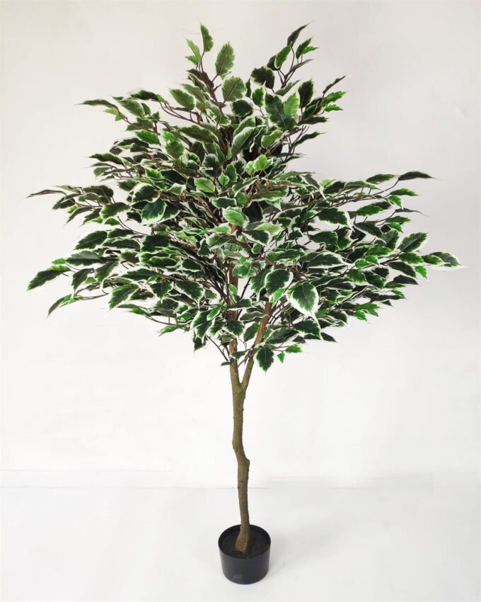 Artificial Tree 150cm Anti-UV Ficus Tree 990lvs GS-66021097-UV Artificial Tree 150cm Anti-UV Ficus Tree /990lvs GS-66021097-UV Tree&Plant YeahFlower is one of Chinese leading OEM manufacturers and exporters , supplying the silk flowers, wholesale artificial trees