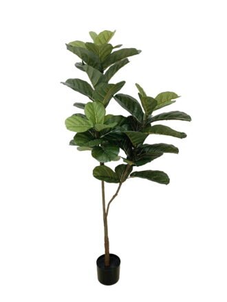 Artificial Tree 120cm Anti-UV Fiddle in pp pot/45LVS GS-66021024-UV Tree&Plant 3,000+ sqm showroom with thousands of artificial flowers, plants & trees ready for global sourcing.