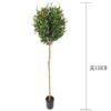 Artificial Tree 150cm Anti-UV Olive Tree/2244lvs GS-66021055-UV Tree&Plant YeahFlower is one of Chinese leading OEM manufacturers and exporters , supplying the silk flowers, wholesale artificial trees
