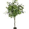 Artificial Tree 160cm Anti-UV Ficus Tree 990lvs GS-66021096-UV Artificial Tree 160cm Anti-UV Ficus Tree /990lvs GS-66021096-UV Tree&Plant YeahFlower is one of Chinese leading OEM manufacturers and exporters , supplying the silk flowers, wholesale artificial trees