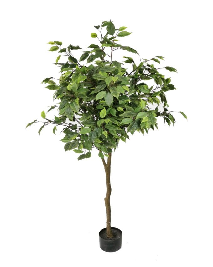 Artificial Tree 160cm Anti-UV Ficus Tree 990lvs GS-66021096-UV Artificial Tree 160cm Anti-UV Ficus Tree /990lvs GS-66021096-UV Tree&Plant YeahFlower is one of Chinese leading OEM manufacturers and exporters , supplying the silk flowers, wholesale artificial trees