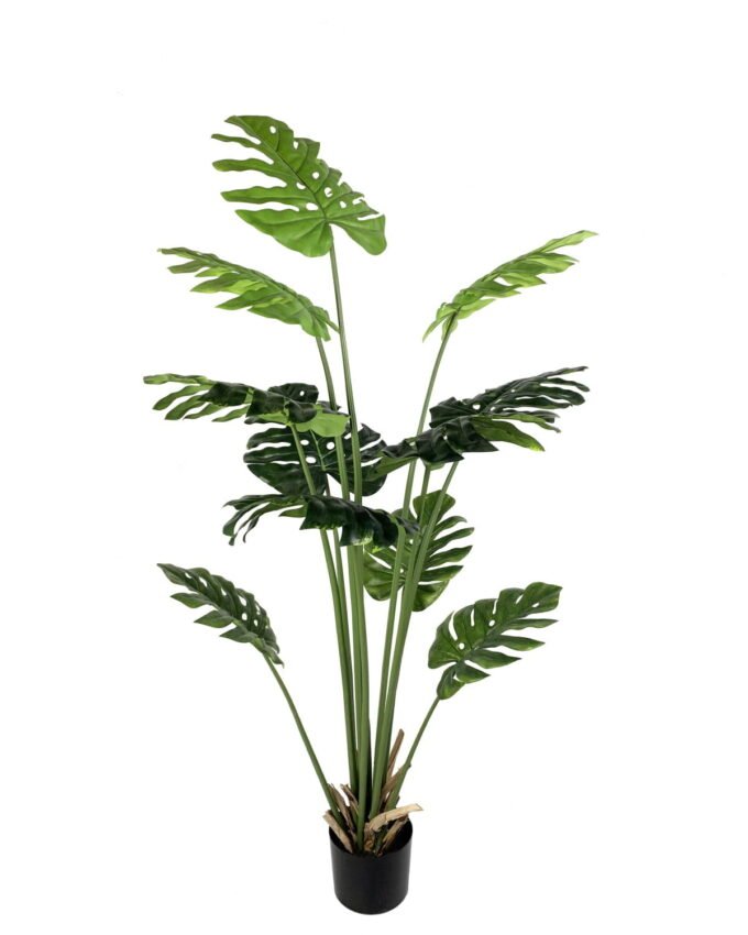 Artificial Tree 170cm Anti-UV Turtle Leaf in pp pot 11LVS GS-66021031-UV Artificial Tree 170cm Anti-UV Turtle Leaf in pp pot/11LVS GS-66021031-UV Tree&Plant YeahFlower is one of Chinese leading OEM manufacturers and exporters , supplying the silk flowers, wholesale artificial trees