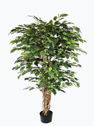 Artificial Tree 210cm Anti-UV Ficus Tree*3 /1404lvs GS-66021088-UV Tree&Plant 3,000+ sqm showroom with thousands of artificial flowers, plants & trees ready for global sourcing.