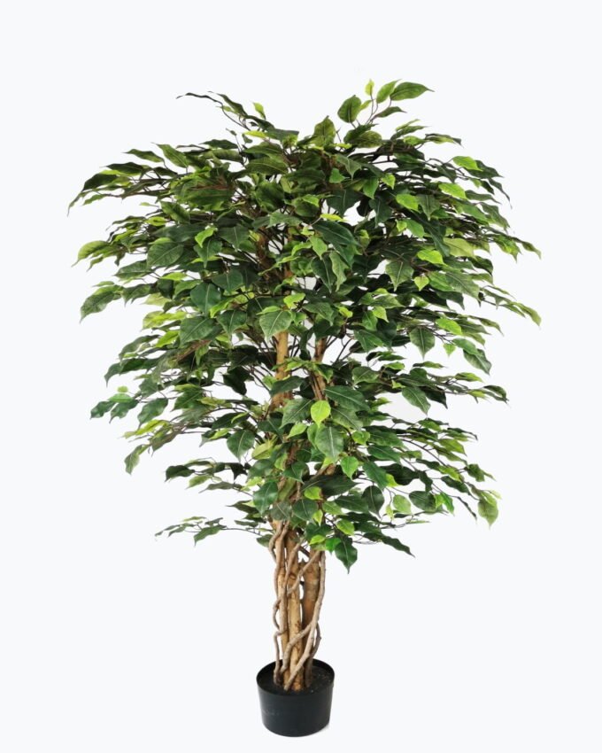 Artificial Tree 180cm Anti-UV Ficus Tree*3 /1092lvs GS-66021087-UV Tree&Plant 3,000+ sqm showroom with thousands of artificial flowers, plants & trees ready for global sourcing.