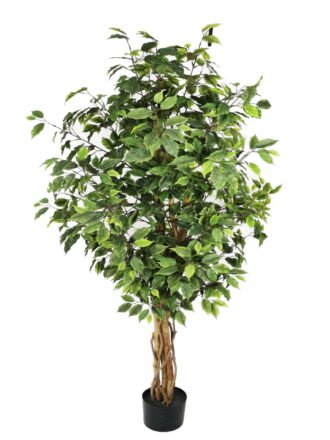 Artificial Tree 210cm Anti-UV Ficus Tree*4 /1980lvs GS-66021092-UV Tree&Plant 3,000+ sqm showroom with thousands of artificial flowers, plants & trees ready for global sourcing.