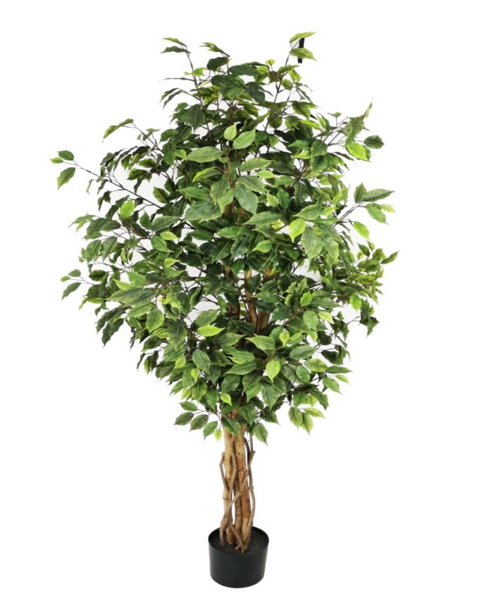 Artificial Tree 180cm Anti-UV Ficus Tree*3 1452lvs GS-66021091-UV Tree&Plant 3,000+ sqm showroom with thousands of artificial flowers, plants & trees ready for global sourcing.