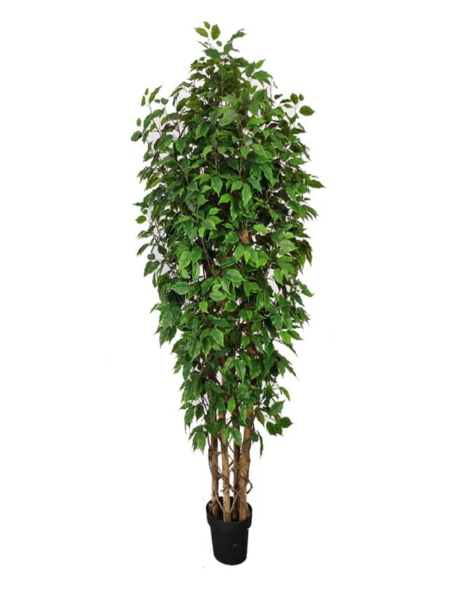 Artificial Tree 180cm Anti-UV Ficus Tree*4 /1980lvs GS-66021094-UV Tree&Plant 3,000+ sqm showroom with thousands of artificial flowers, plants & trees ready for global sourcing.
