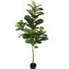 Artificial Tree 180cm Anti-UV Fiddle in pp pot/60LVS GS-66021027-UV Tree&Plant 3,000+ sqm showroom with thousands of artificial flowers, plants & trees ready for global sourcing.