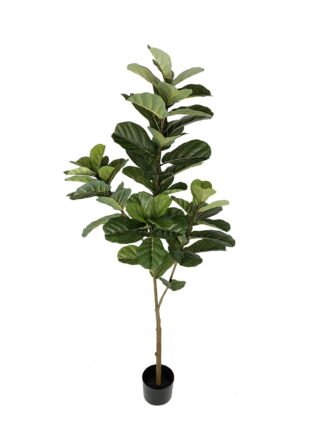 Artificial Tree 80cm Anti-UV Turtle Leaf in pp pot/7LVS GS-66021028-UV Tree&Plant 3,000+ sqm showroom with thousands of artificial flowers, plants & trees ready for global sourcing.