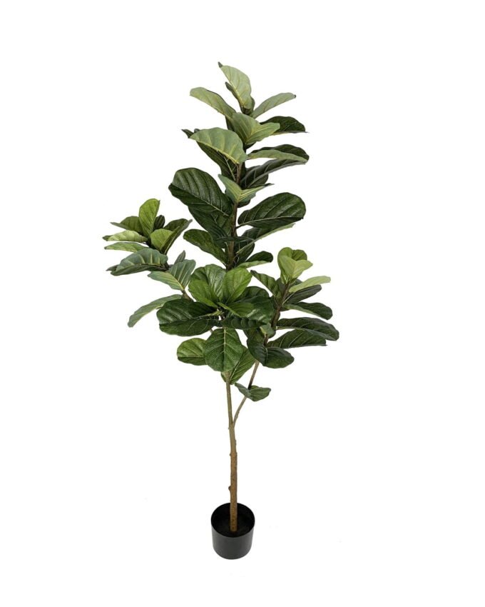 Artificial Tree 180cm Anti-UV Fiddle in pp pot/60LVS GS-66021027-UV Tree&Plant 3,000+ sqm showroom with thousands of artificial flowers, plants & trees ready for global sourcing.