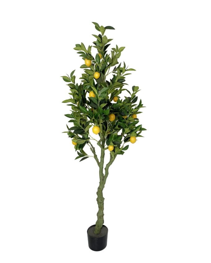 Artificial Tree 180cm Anti-UV Lemon tree w 10 fruits 570LVS GS-66021040-UV Artificial Tree 180cm Anti-UV Lemon tree w/10 fruits/570LVS GS-66021040-UV Tree&Plant YeahFlower is one of Chinese leading OEM manufacturers and exporters , supplying the silk flowers, wholesale artificial trees