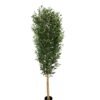 Artificial Tree 180cm Anti-UV Olive Tree/3266lvs GS-66021058-UV Tree&Plant YeahFlower is one of Chinese leading OEM manufacturers and exporters , supplying the silk flowers, wholesale artificial trees