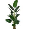 Artificial Tree 180cm Anti-UV Strelitziaceae Tree/14LVS GS-66021022-UV Tree&Plant YeahFlower is one of Chinese leading OEM manufacturers and exporters , supplying the silk flowers, wholesale artificial trees
