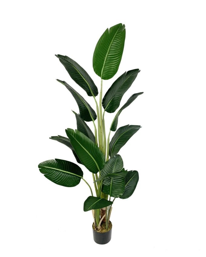 Artificial Tree 180cm Anti-UV Strelitziaceae Tree/14LVS GS-66021022-UV Tree&Plant YeahFlower is one of Chinese leading OEM manufacturers and exporters , supplying the silk flowers, wholesale artificial trees