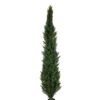 Artificial Tree 210cm Anti-UV Cypress trees in pp pot GS-66021005-UV Toplary 3,000+ sqm showroom with thousands of artificial flowers, plants & trees ready for global sourcing.