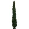 Artificial Tree 210cm Anti-UV Cypress trees in pp pot GS-66021005-UV Toplary 3,000+ sqm showroom with thousands of artificial flowers, plants & trees ready for global sourcing.