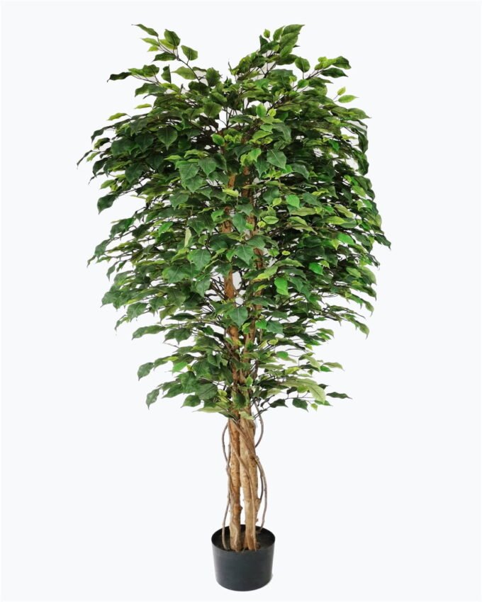 Artificial Tree 210cm Anti-UV Ficus Tree*3 /1404lvs GS-66021088-UV Tree&Plant 3,000+ sqm showroom with thousands of artificial flowers, plants & trees ready for global sourcing.